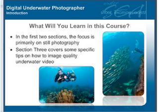 Digital Underwater PHotography online!