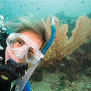 Discover Scuba Diving at your local dive shop or take a resort dive on your next vacation